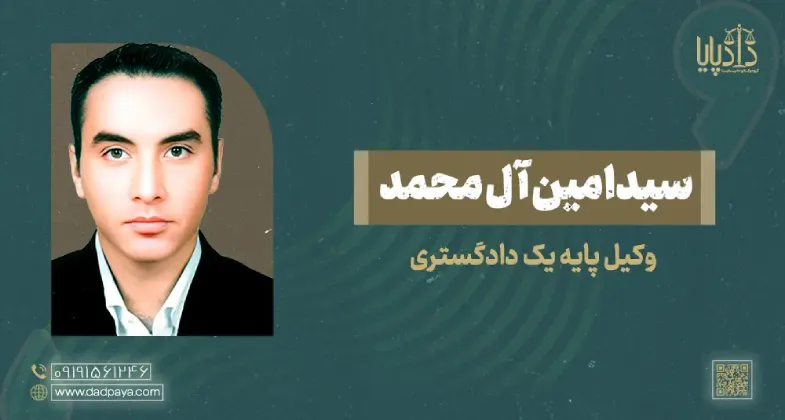 سیدامین آل محمد copy