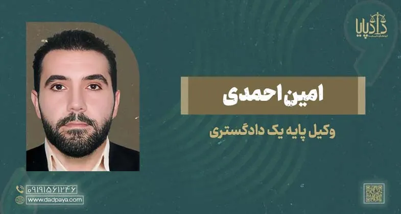 امین احمدی copy